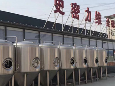 广河精酿啤酒设备厂—市场规模与跨界新需求